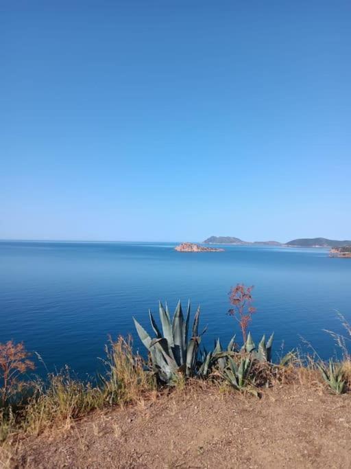 Gli Appartamenti Di Francuzzo Teulada Extérieur photo